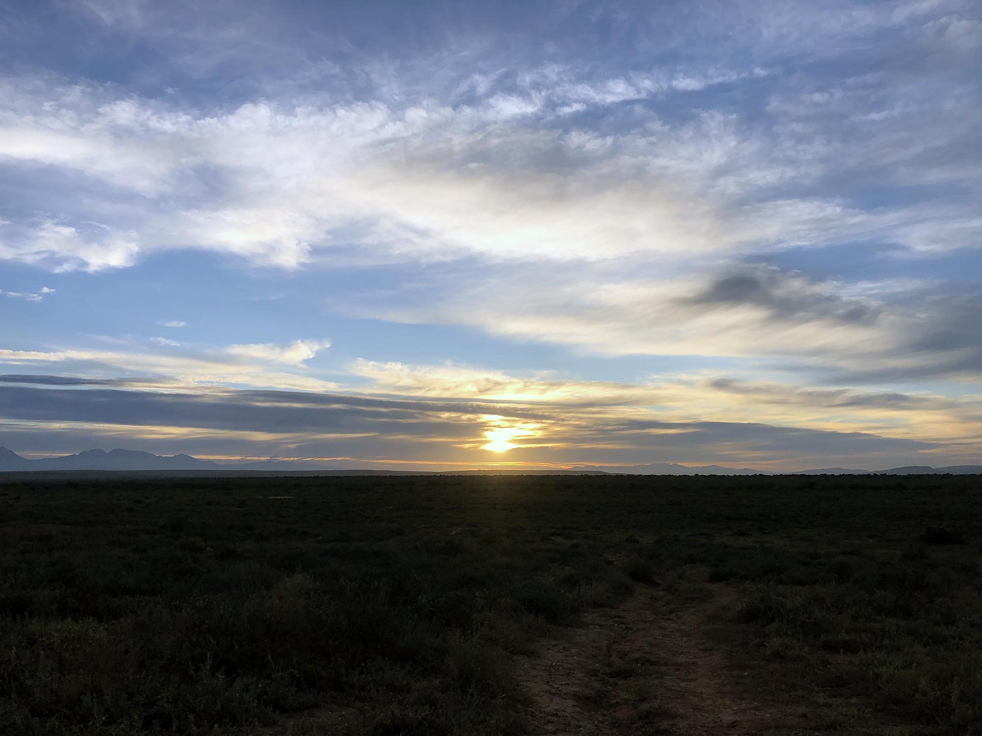 09_HalbwüsteOudtshoorn_2000