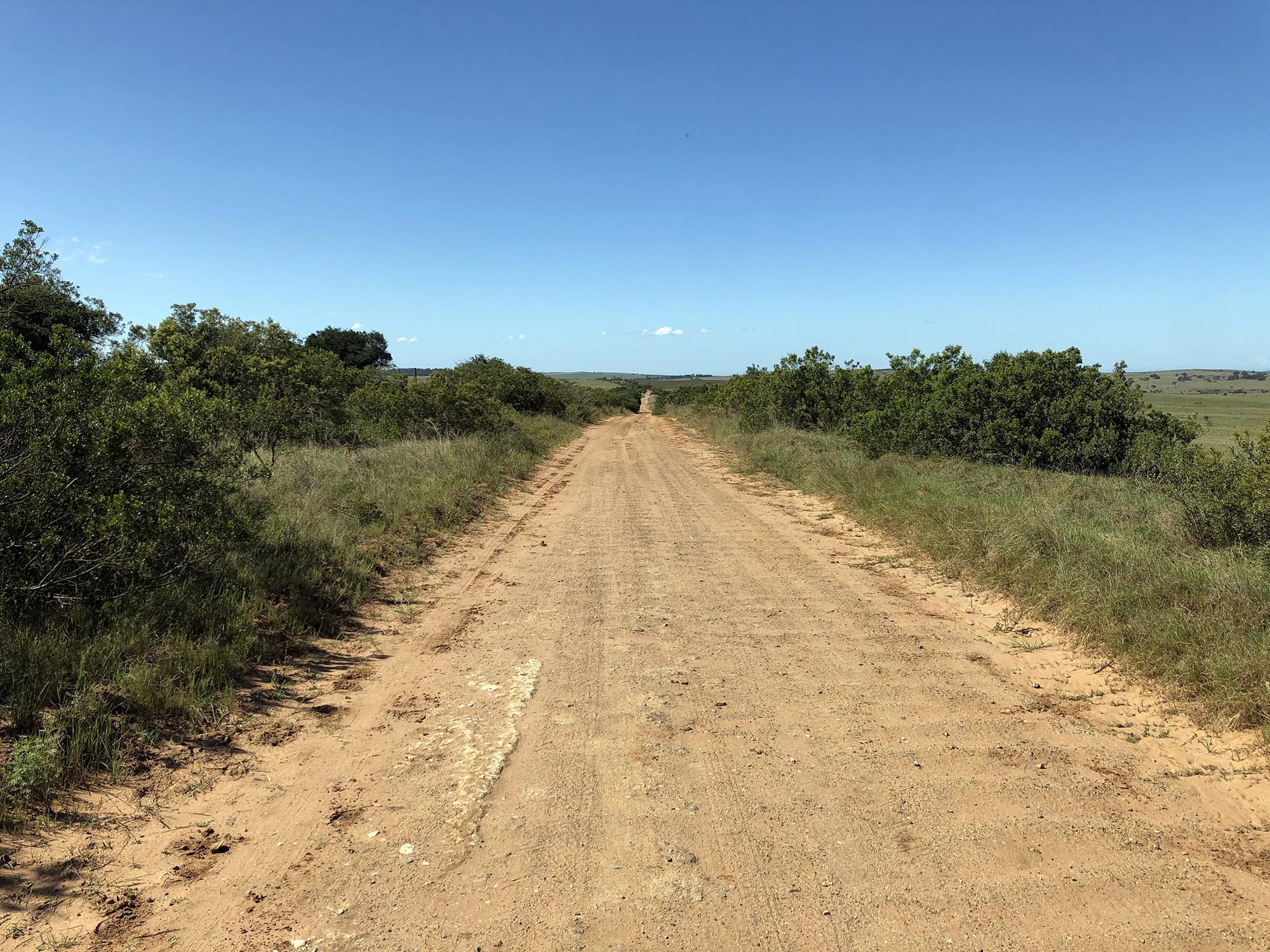26_unterwegsAmakahlaReserve_02_2000